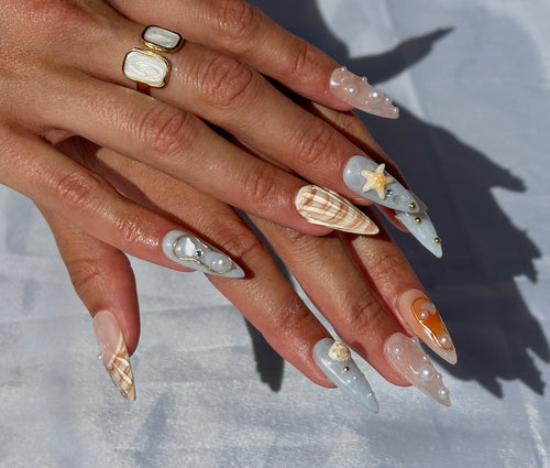 Ocean 🐚